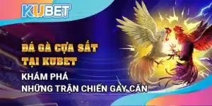 Đá gà cựa sắt tại Kubet – Khám phá những trận chiến gay cấn