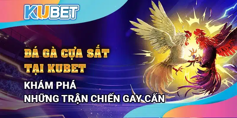 Đá gà cựa sắt tại Kubet – Khám phá những trận chiến gay cấn