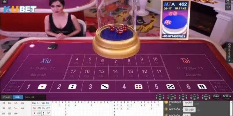 Khám phá cơ bản về trò chơi tài xỉu Kubet